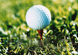 Hole in one insurance and promotions